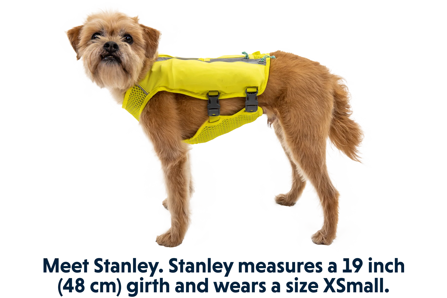 Trail Runner™ Hunde-Laufweste - Image 19