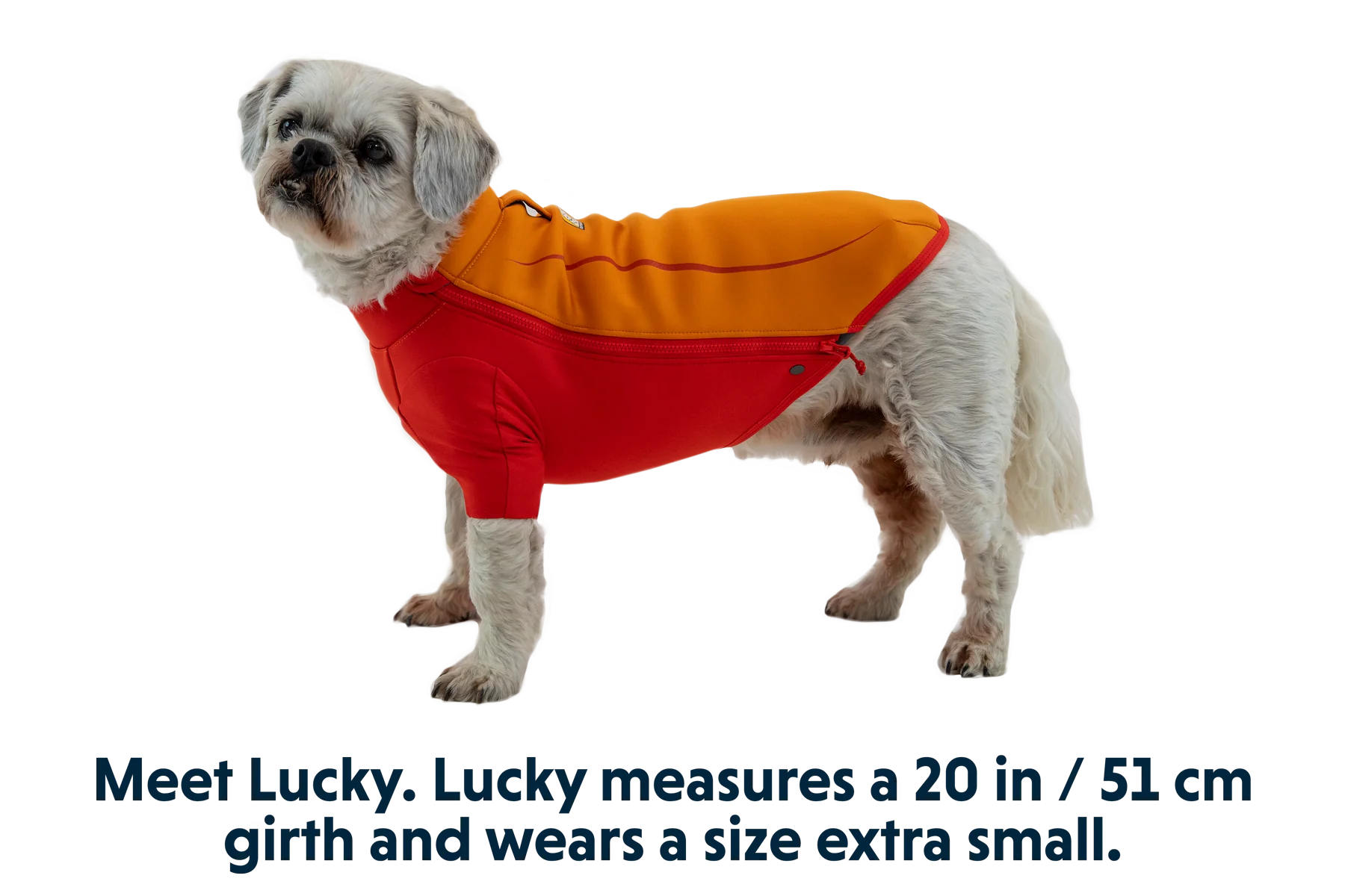 Undercoat™ Hunde-Neoprenanzug - Image 16