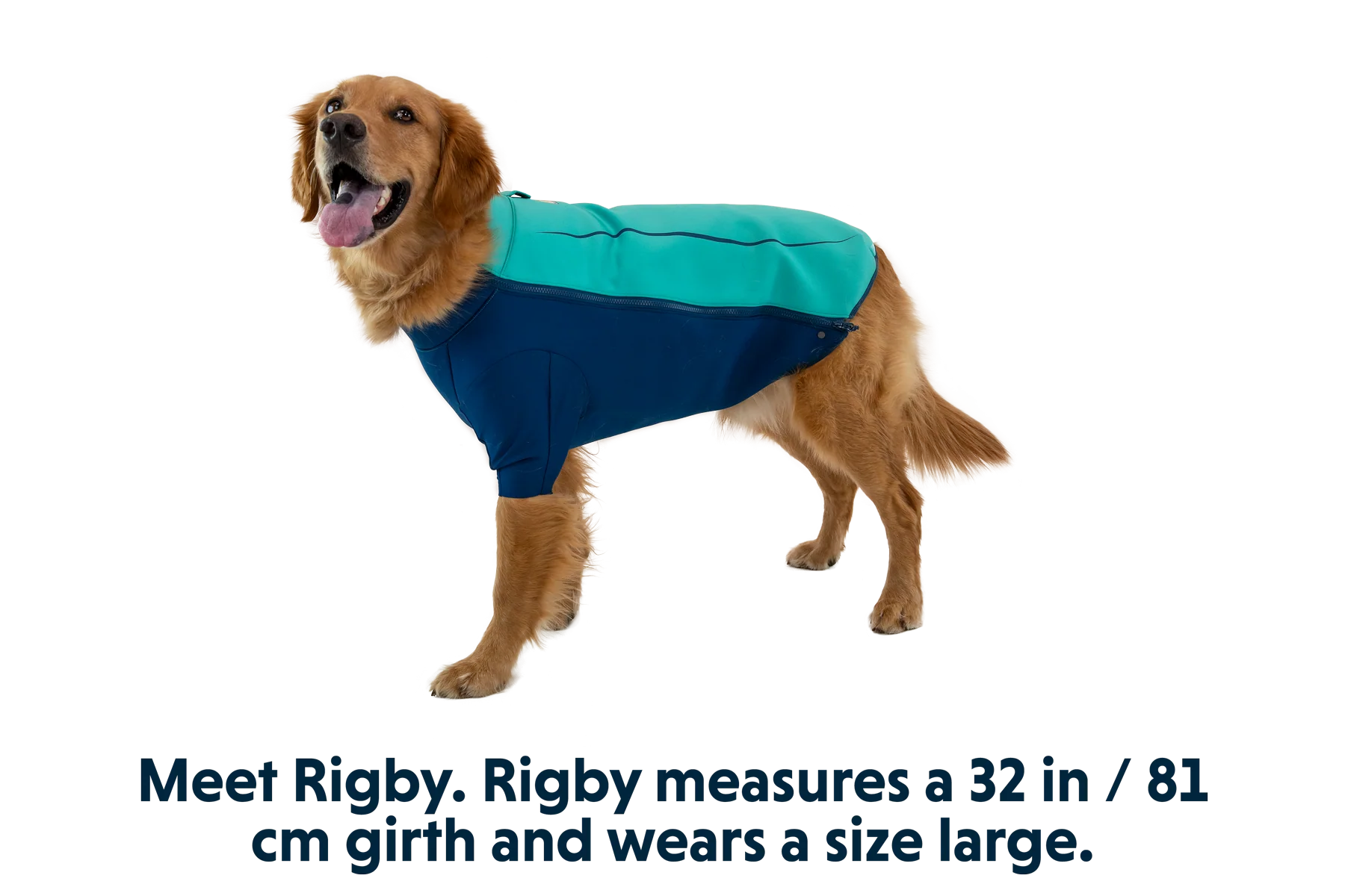 Undercoat™ Hunde-Neoprenanzug - Image 8
