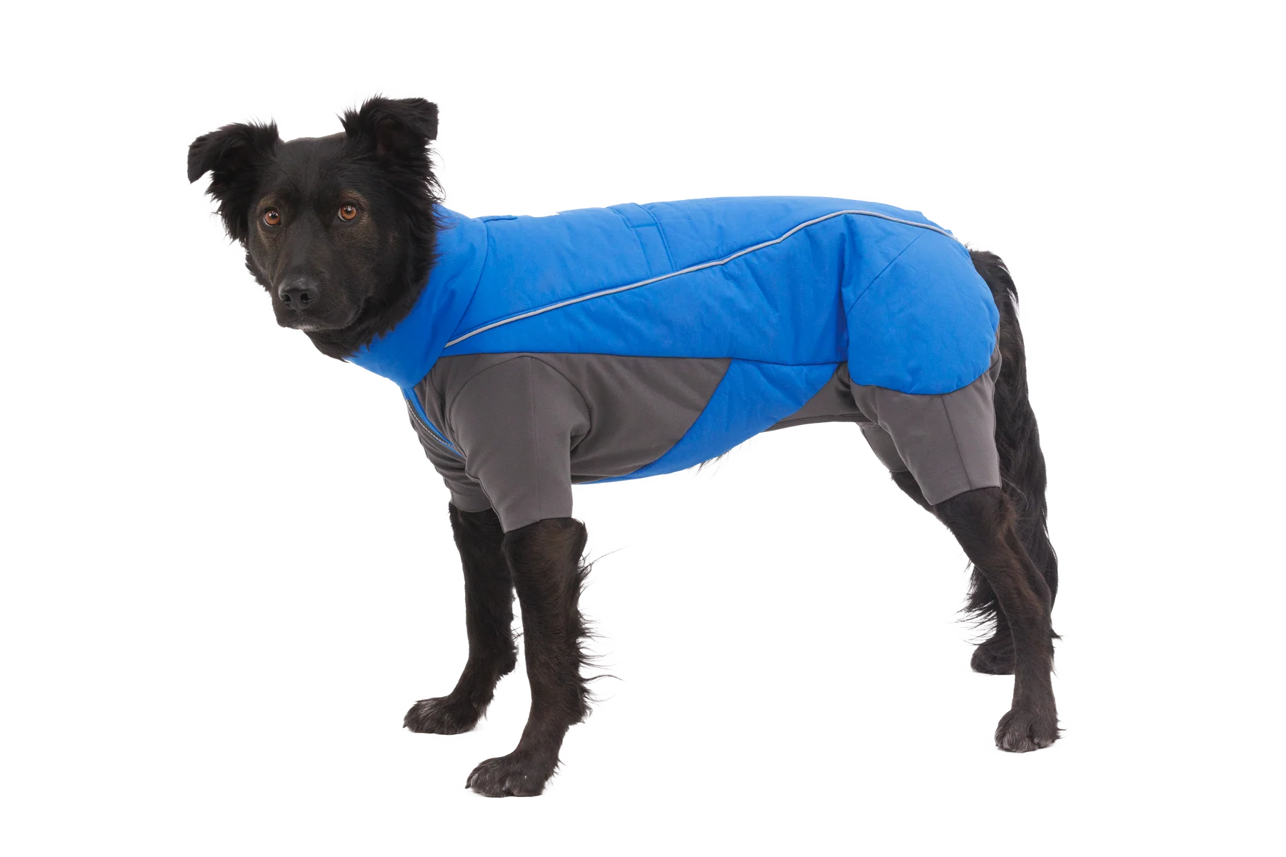 Vert™ Coverall Schneeanzug für Hunde - Image 2
