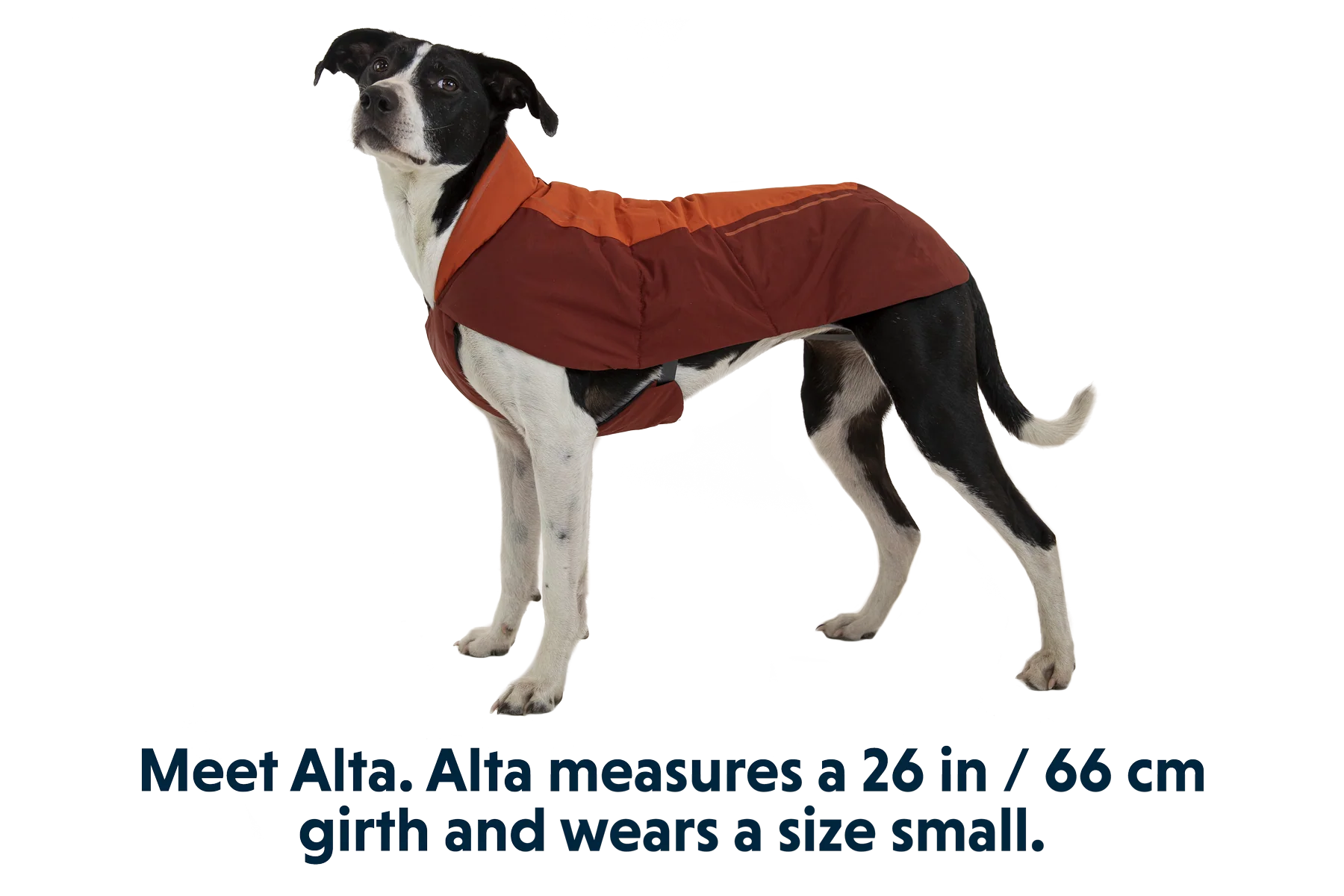 Vert™ Jacke - Image 23