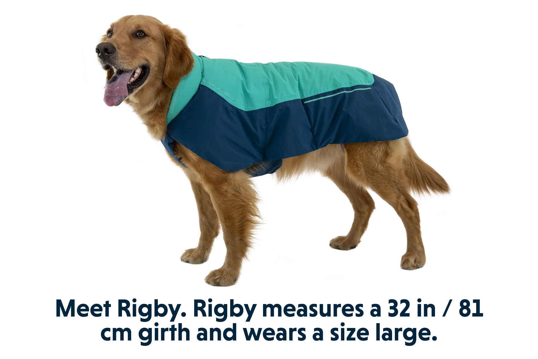Vert™ Jacke - Image 3