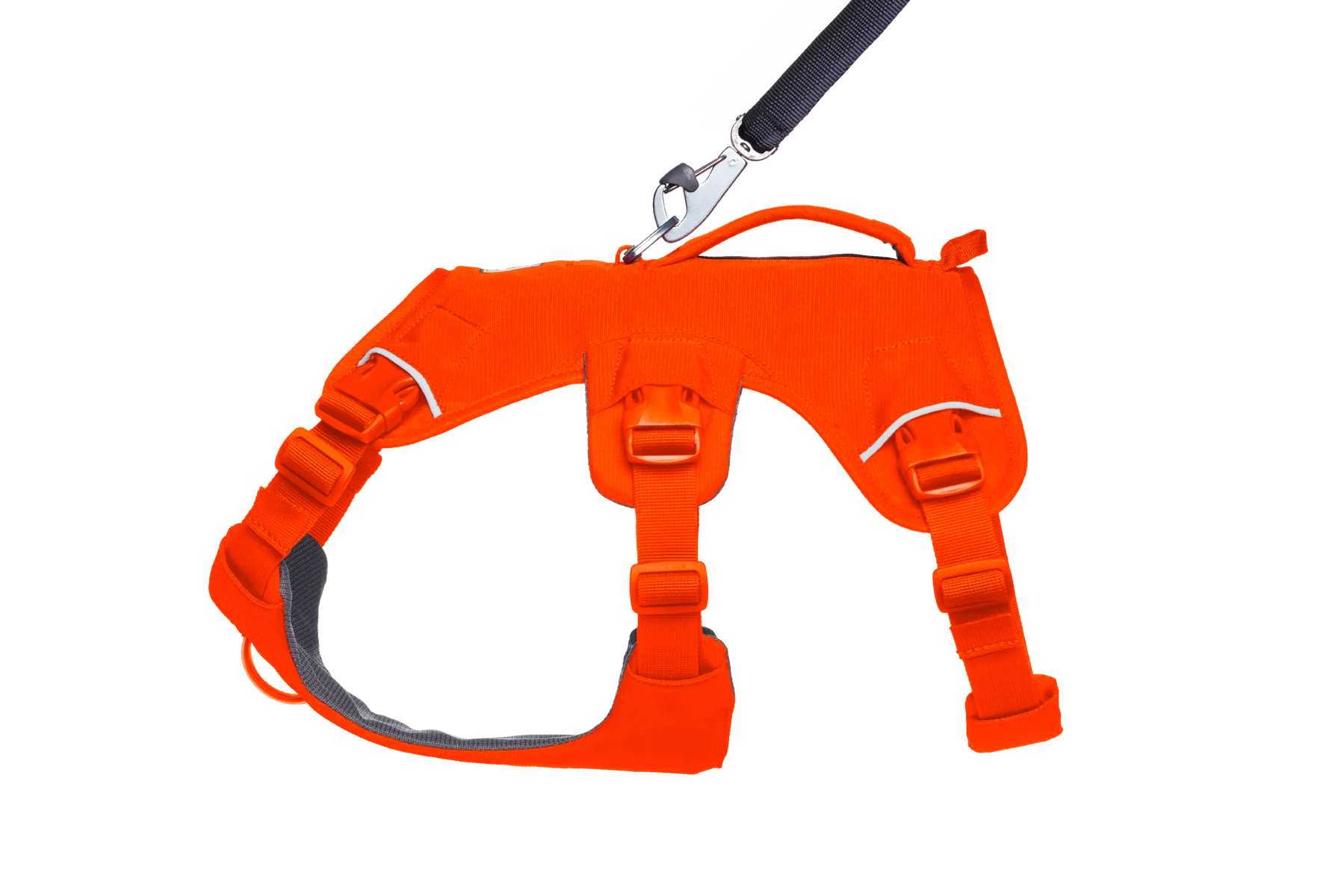 Web Master™ Hundegeschirr mit Griff - Image 18